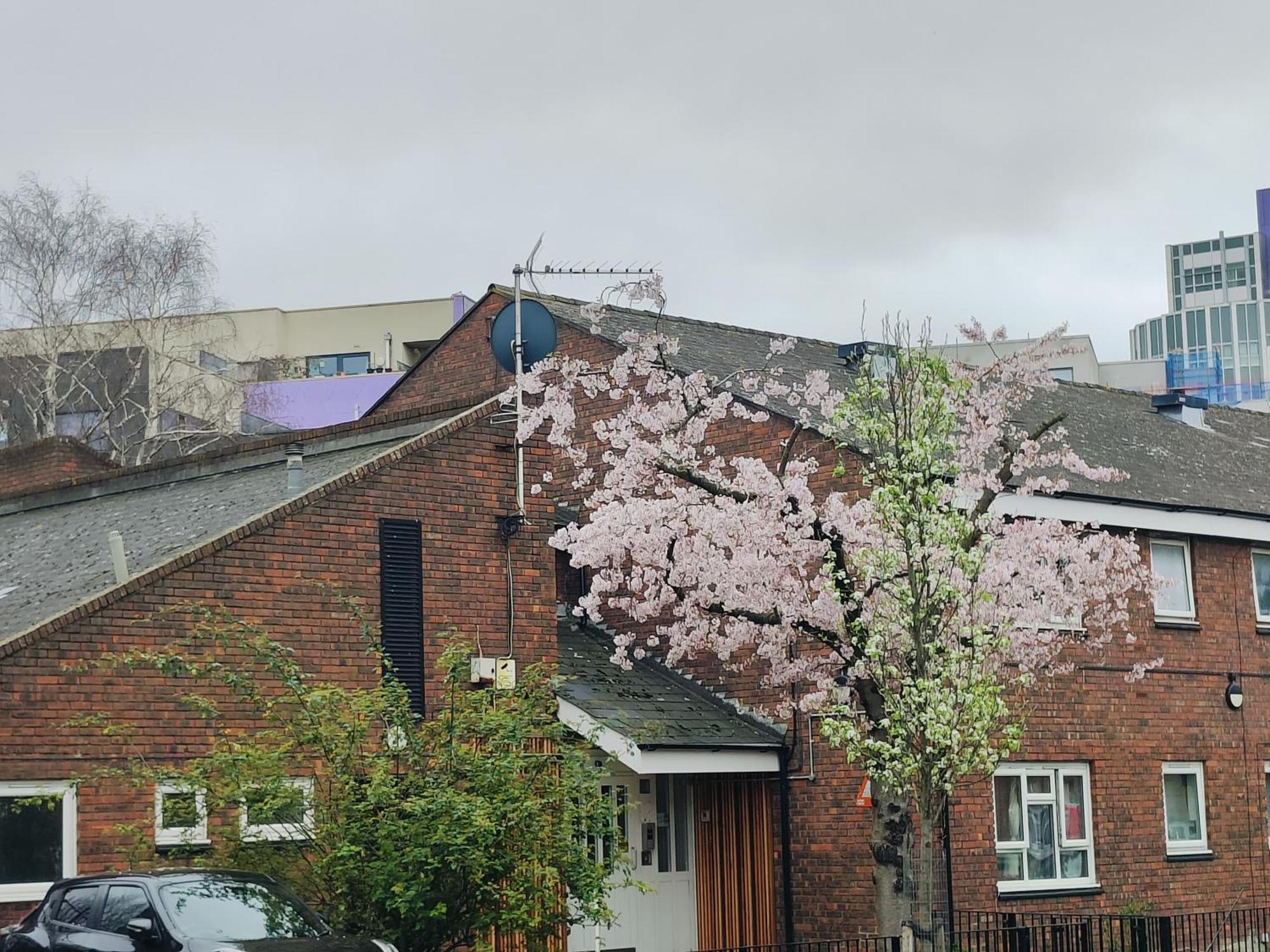 Clifton House O2 & Excel Rooms With Private Bathroom And Breakfast Option London Bagian luar foto